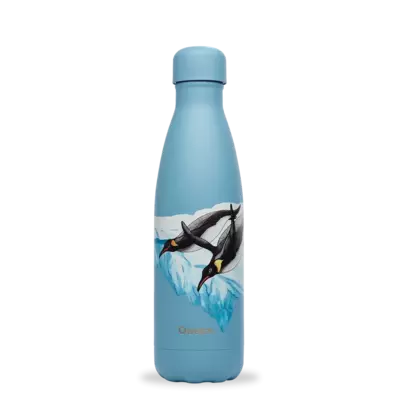 Bouteille banquise manchot