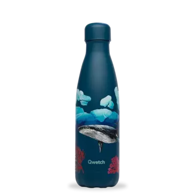 Bouteille banquise baleine